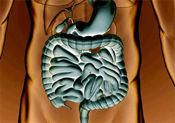 A Crohn-betegség diagnosztikus és terápiás módszerei és a microbiom kapcsolata