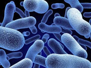 Az antibiotikumok használatával összefüggő hasmenés és a Clostridium difficile fertőzés tüneteinek hatékony csökkentése probiotikumokkal